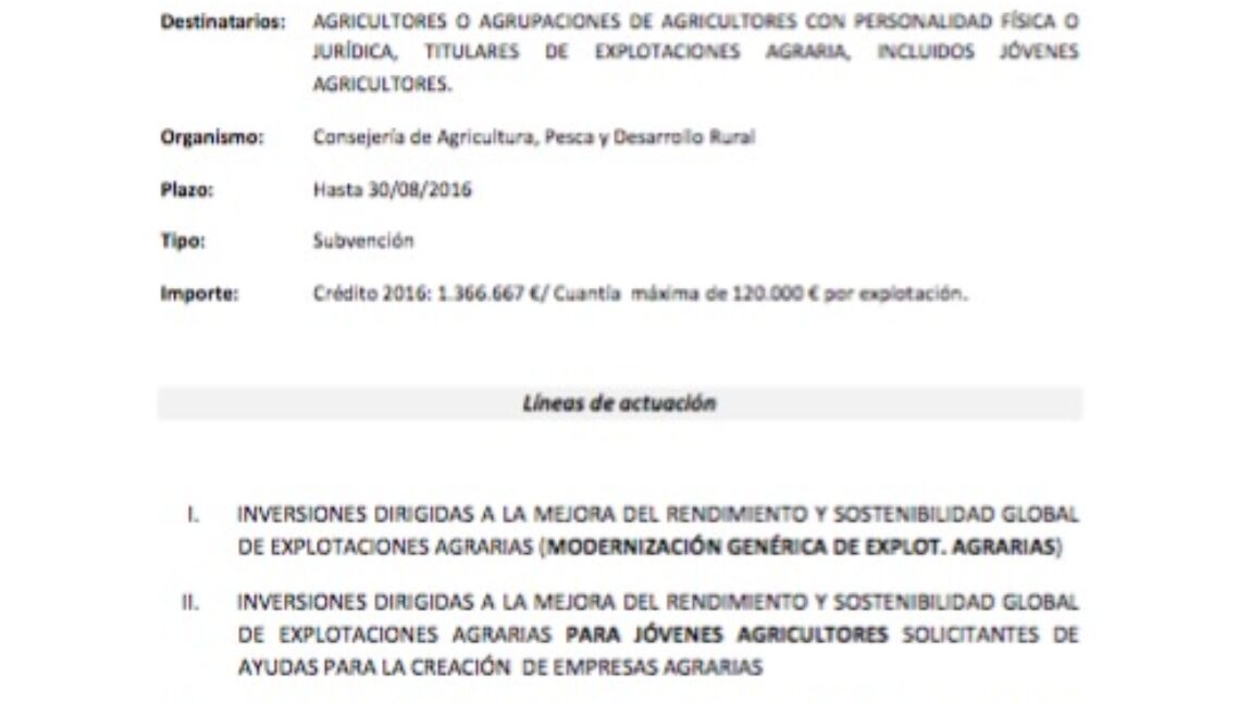 Circular 1-2019:  Subvención para las contrataciones en prácticas, por un período de 6 a 12 meses, realizadas por empresas, autónomos y profesionales que desarrollen su actividad en la provincia de Málaga.