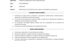 Circular 22: subvenciones para inversiones en activos físicos en inversiones en explotaciones agrícolas de olivar