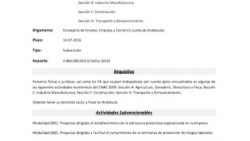 Circular 6-2017: Ayuda: Incentivos al Autónomo, Emprendimiento y Proyectos de Autoempleo 2017 (Córdoba)