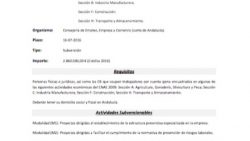 Circular 28: Ayudas Lucena Emprende (SOLO LUCENA)