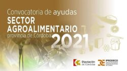 Circular 26 -AYUDAS APOYO A LA COMERCIALIZACIÓN DE LAS EMPRESAS  AGROALIMENTARIAS DE LA PROVINCIA DE CÓRDOBA